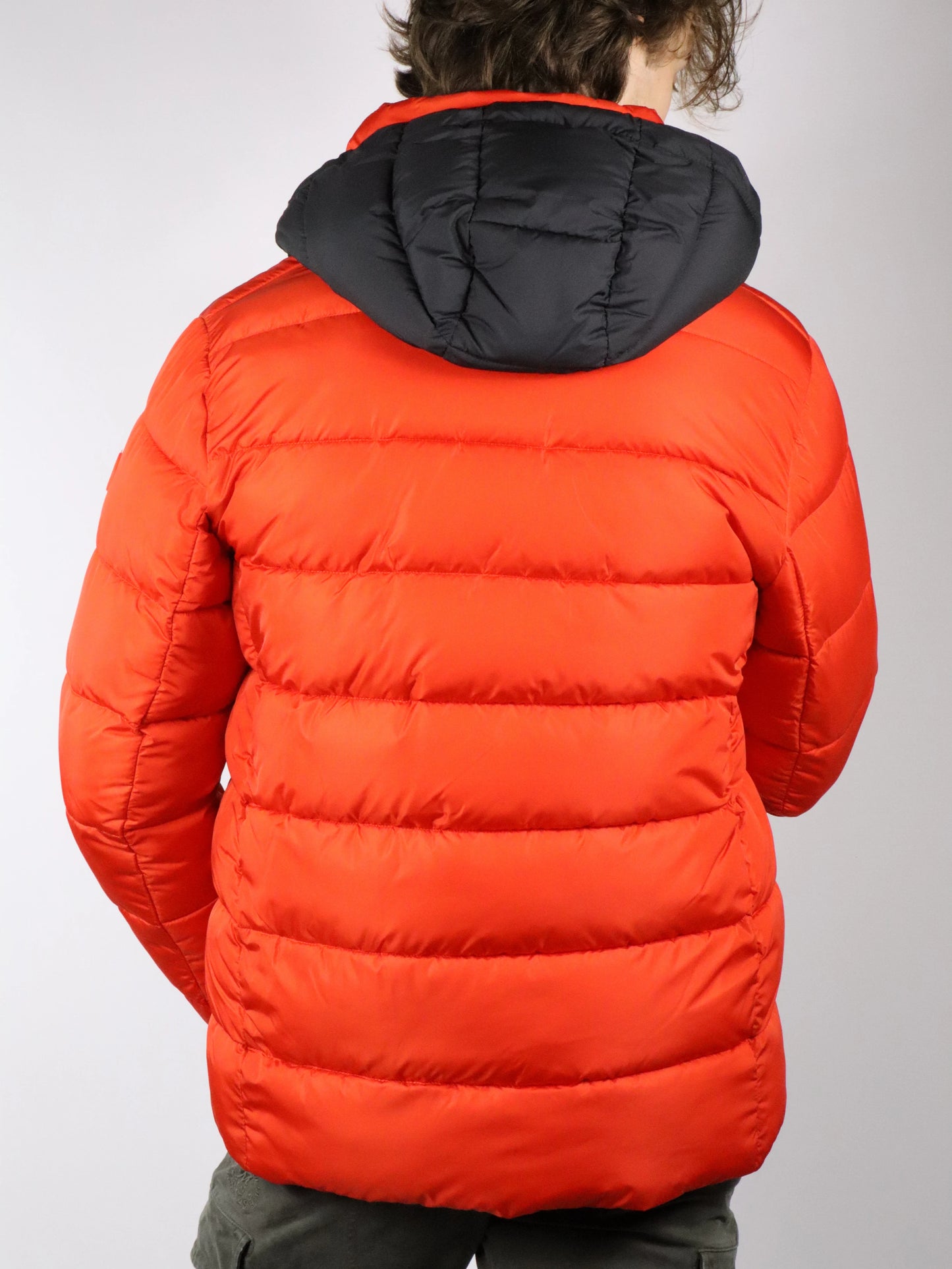 Piumino con cappuccio animal free SAVE THE DUCK ACANTUS