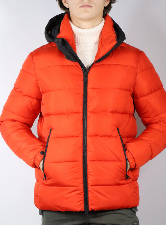 Piumino con cappuccio animal free SAVE THE DUCK ACANTUS