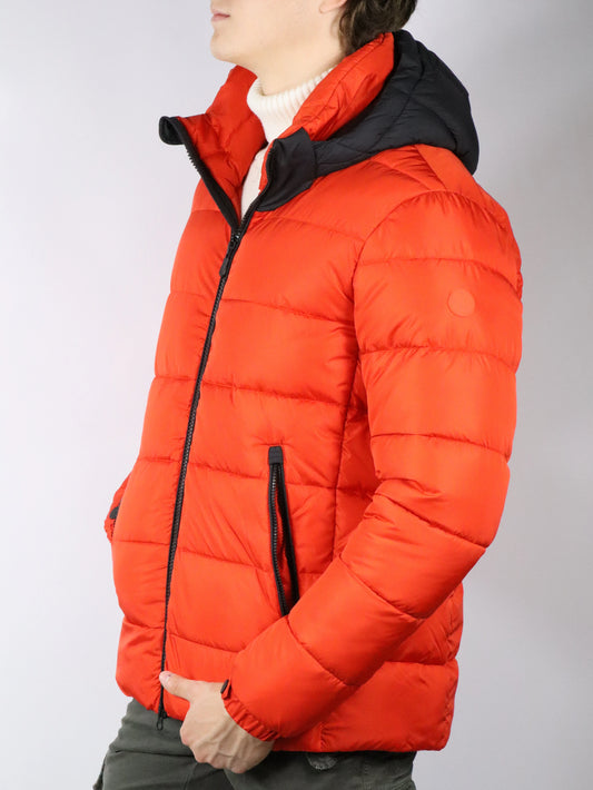 Piumino con cappuccio animal free SAVE THE DUCK ACANTUS